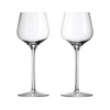 Waterford Elegance Dessert Wine Glass, Pair