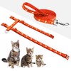 Cat Harness and Leash Set Gold Moons Soft Nylon Escape