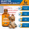 Natural Antibiotics for Dogs for Allergies, Infections, Coughs, Digestive Moments