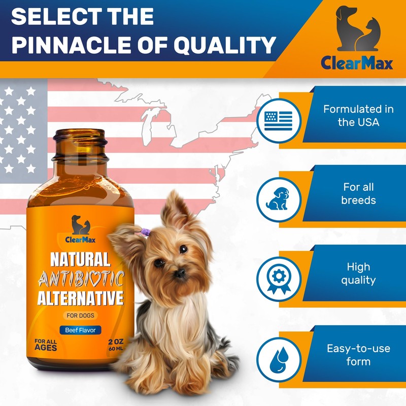 Natural Antibiotics for Dogs for Allergies, Infections, Coughs, Digestive Moments