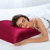 sourcing map Silk Pillowcase 19 Momme Mulberry Silk Pillowcase with