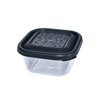 Kigima Mini Freezer Food Storage Container 300 ml Square Set