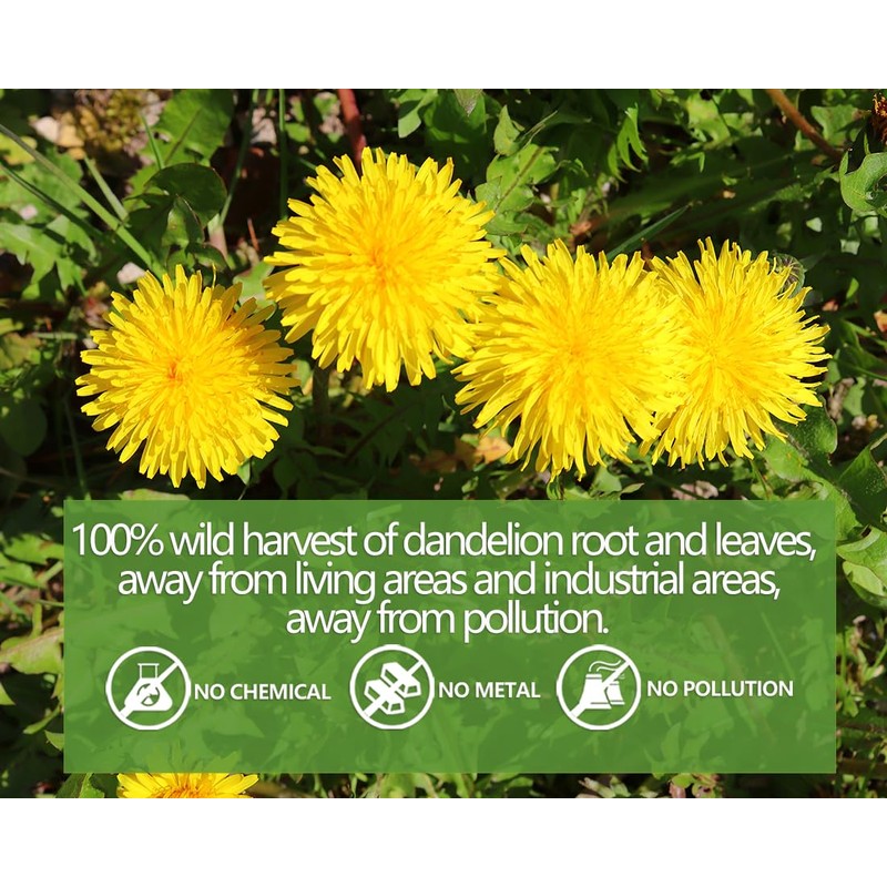 ULTHMOK Premium Dandelion Root & Leaf Tea,100 Tea Bags/7.06Oz,for Liver