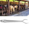 SIRIUSTIMES Hot Fitting Horse Hoof Veterinary Instruments Heavy Steel Farriers