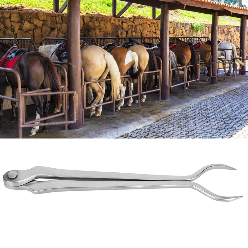 SIRIUSTIMES Hot Fitting Horse Hoof Veterinary Instruments Heavy Steel Farriers