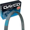Dayco Main Drive Serpentine Belt Compatible with Ford Ranger 2.3L