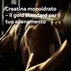 Doppelherz Creatine Monohydrate, Creatina Monoidrata in Polvere, 500 g