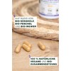 Organic Fennel with Ginger and Freshwood, 100% Natural, Laboratory Tested,
