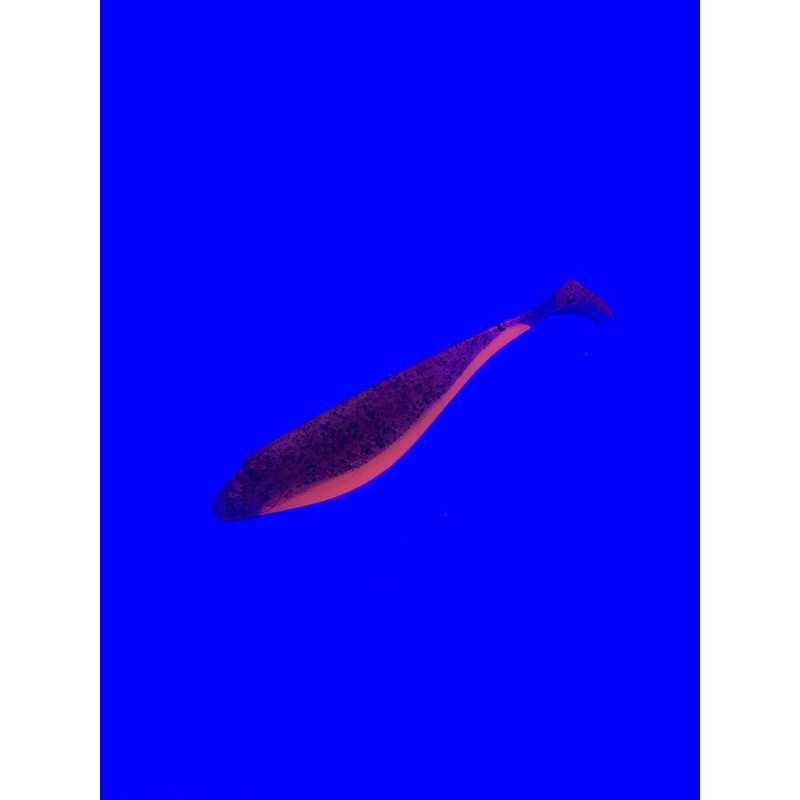 Major Fish Rabaza Shad Rubber Fish 10 cm Pack of