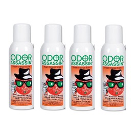Odor Assassin Orange, Set of 4