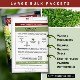 Sow Right Seeds - Bulk Arugula Seeds for Planting - 1 Ounce, 14000 Seeds - Non-GMO Heirloom Jumbo Pack with Instructions to Plant a Home Vegetable Garden - Grow Loads of Hydroponic Rocket Salad Greens