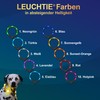 LEUCHTIE® Light Collar Plus I LED Collar for Dogs I