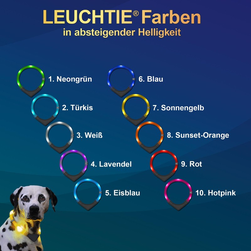 LEUCHTIE® Light Collar Plus I LED Collar for Dogs I
