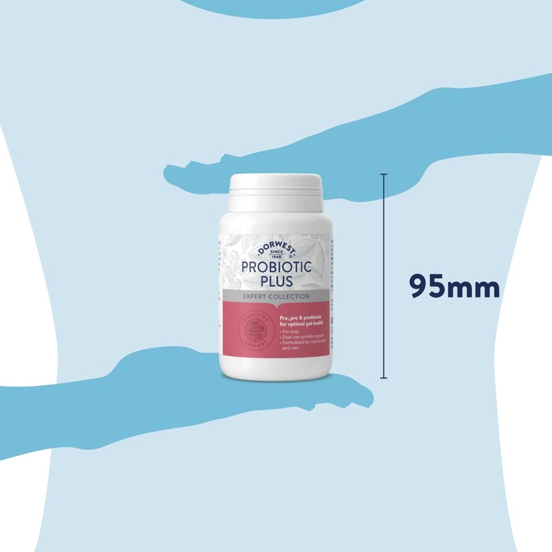 Dorwest Herbs Probiotic Plus for Dogs 100 Capsules, Pre, Pro