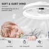 VOLISUN Low Profile Ceiling Fans with Lights and Remote, 19.7in