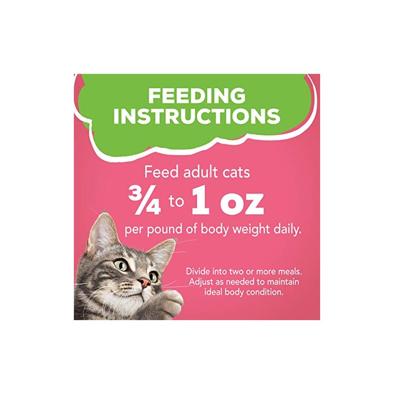 Friskies Purina Friskies Wet Cat Food Pate, Pate Salmon Dinner
