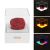 Rose Night Light Romantic Small USB Charging Soft Brightness Decoration