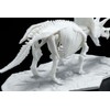 Bandai Dinosaur Model Kit Limex Skeleton Triceratops