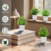 SMART DIRECT 4 Pack Small Fake Plants Mini Artificial Plants