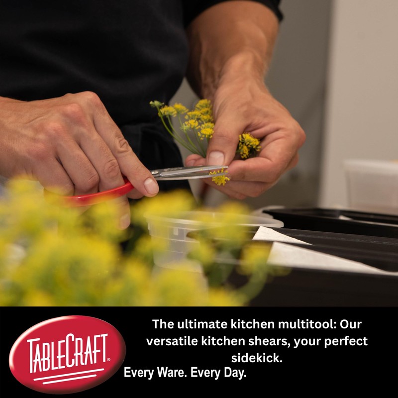 TableCraft Products 10995 Kitchen Shears, One size, Silver