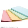 Kokuyo File Flat File S2 A4 Long Edge Binding 10