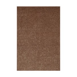 Ambiant Pet Friendly Solid Color Area Rugs Brown - 2' x 3' Rectangle, Indoor, Stain Resistant, Perfect for Living Room, Bedroom, Entryway, Doorway, Pet & Kids Friendly Rug, Wedding, Made in USA