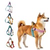 Pawhuggies Pahaggis Dog Harness, Easy to Pull Out, For Summer,