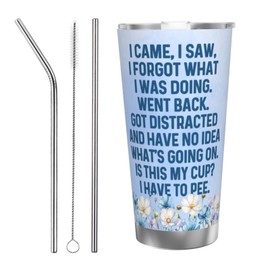 Adimidy I Came I Saw I Forgot What I Was Doing Tumbler Coffee Tumbler 20 oz Tumbler with Lid and Straw Insulated Tumblers Stainless Steel Tumblers