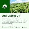 B BEWORTHS Gotas de aceite de orégano orgánico B BEWOTHS