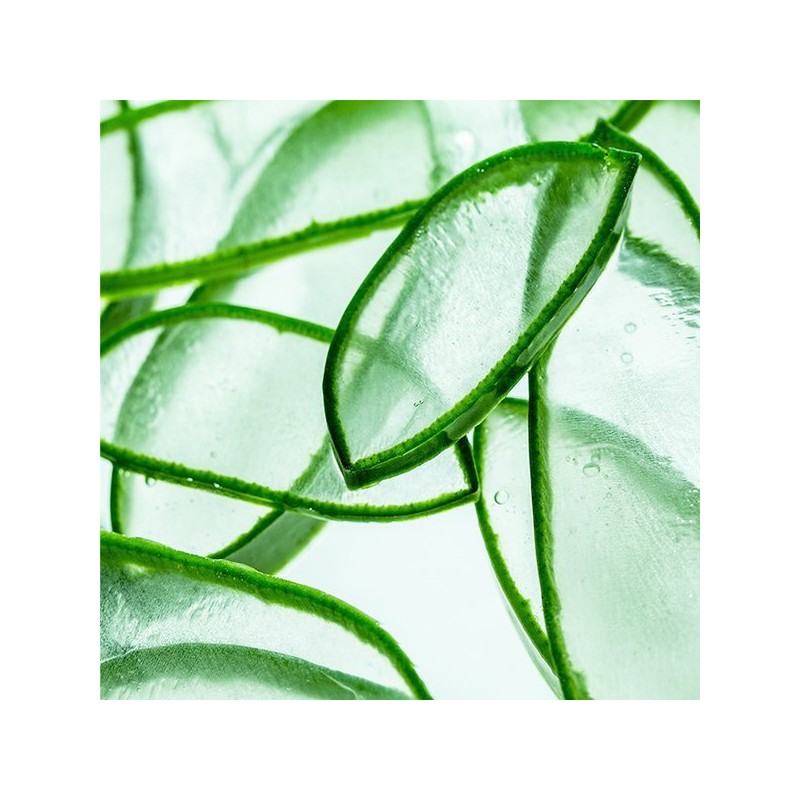 Holika Holika 알로에 페이셜 클렌징 폼 Aloe Facial Cleansing Foam