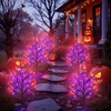 Luiywan Fall Solar Pathway Lights 4PCS, Autumn Outdoor Harvest Decorations,