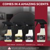 Blaze Away Commercial Air Freshener & Odor Eliminator for Strong
