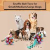 Larimuer Snuffle Ball for Dogs, Sniffing Carpet Snuffle Toy, Interactive