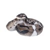 Uvia Ball Python 19.7 x 14.8 x 9.8 cm Doll