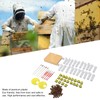 Queen Bee Rearing System Plastic Breeding Cell Cup Kit Beekeeping
