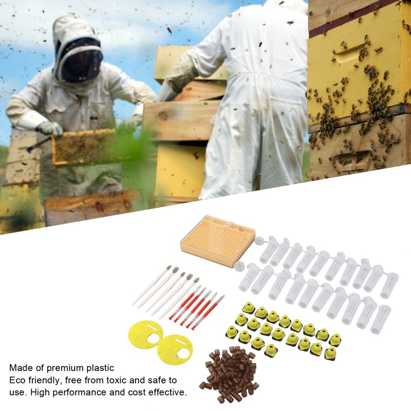 Queen Bee Rearing System Plastic Breeding Cell Cup Kit Beekeeping