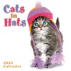 Cats in Hats 2025 Mini Calendar, 7" x 7"