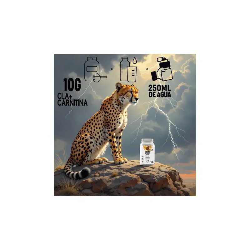 Cla + Carnitina Suplemento Stormcheetah 1kg Polvo 100servis