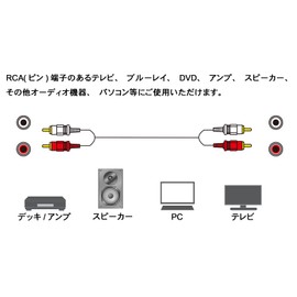 フジパーツ オーディオケーブル 2ピン-2ピン 1m