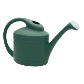 Southern Patio 2 Gallon Watering Can, Fern