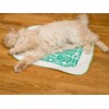 Nekomote Cat Toy, Surisuri Nya, 1 Sheet