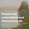 Natural Factors Oil of Oregano - Liquid Antioxidant Support Supplement