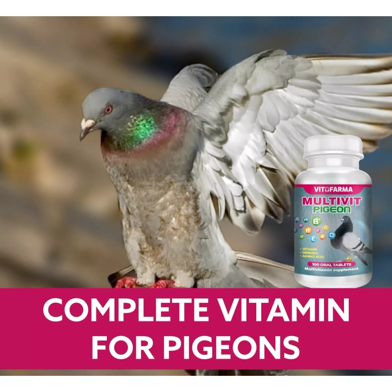 VITOFARMA COMPLETE VITAMIN FOR PIGEON MULTIVIT VITAMINA PARA PALOMAS 100