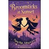 Broomsticks at Sunset: Flying High, Falling in Love