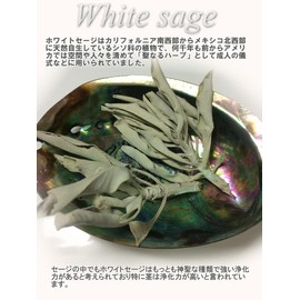 Beaut Direct from Source White Sage Harvested May 2025, Selected, for Purification, Organic, Origin Certificate Available, California Grown White Sage Cluster Type (with Branches) 500g