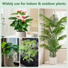 12 Pack Monstera Plant Support & Plant Cage Support Rings,Stackable
