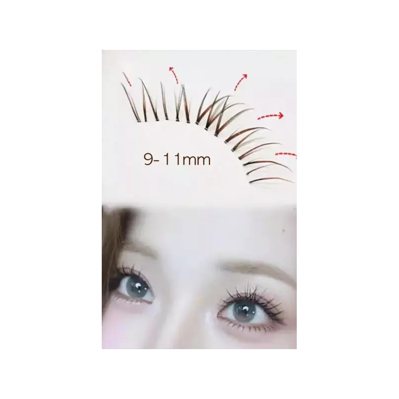 Aimilim 애미림 노글루 가닥 부분 브라운 투명라인 속눈썹 9-11mm Aimilim