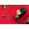 Prevue Pet Products Grassy Nibblers Squash Small Animal Chew Toy