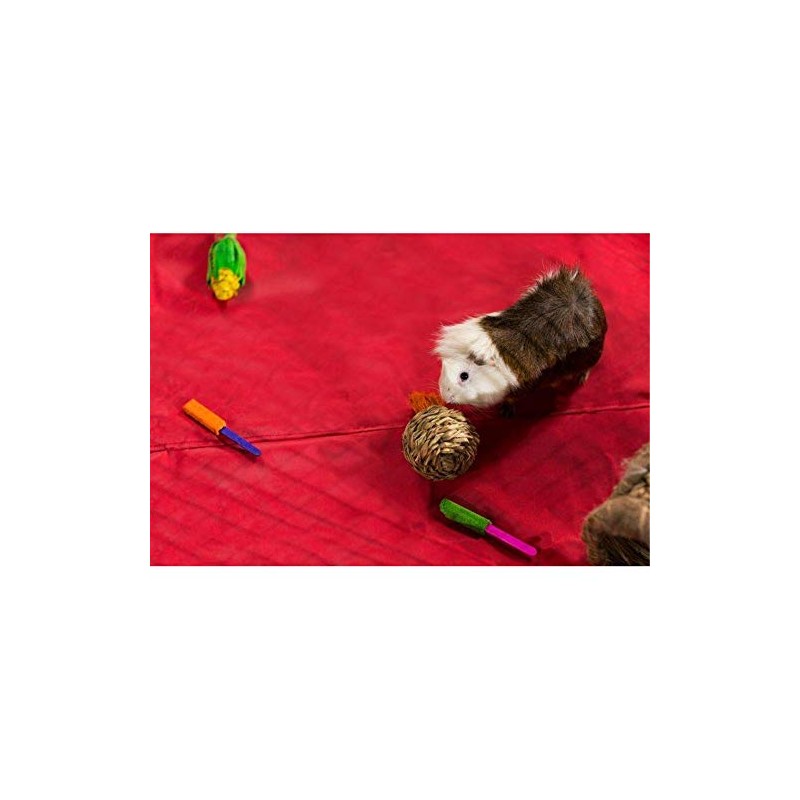 Prevue Pet Products Grassy Nibblers Squash Small Animal Chew Toy