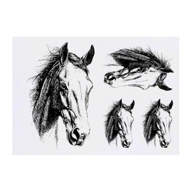 4 x 'Horse Portrait' Temporary Tattoos - Water Resistant, Skin-Safe, Non-Toxic Transfers, Mixed Sizes (TO00082082)
